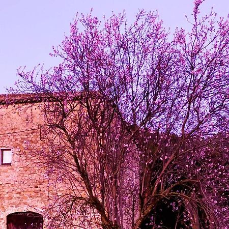 El Castell De Seguero Apartment Beuda Exterior photo